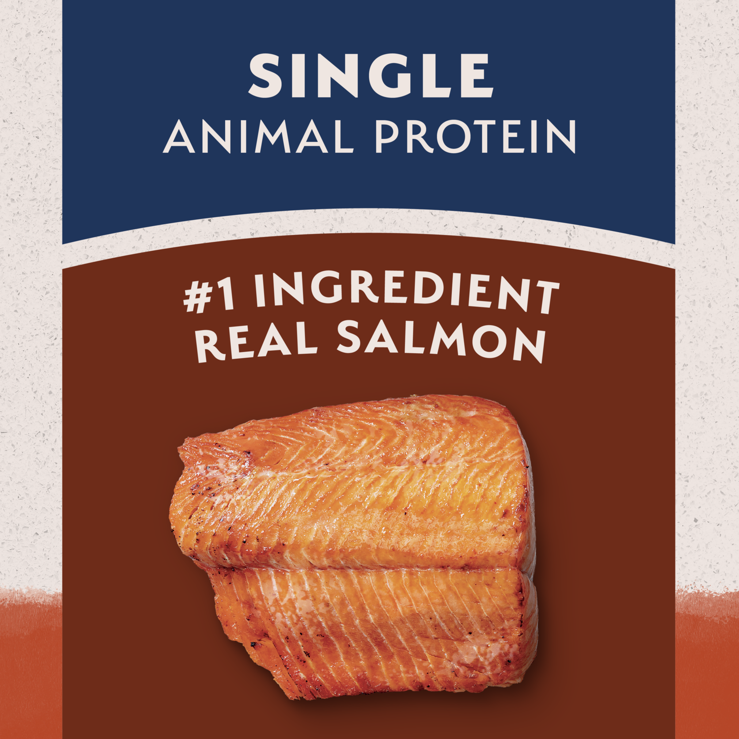 Natural Balance Limited Ingredient Grain-Free Salmon & Sweet Potato Recipe Dry Dog Food, 4-Lb Bag