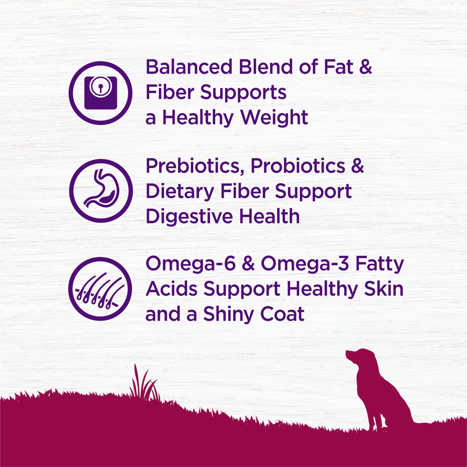 Wellness Complete Health Dry Dog Food, Small Breed, Wholesome Grains, Natural, Healthy Weight Turkey & Brown Rice Recipe, 4-Pound Bag