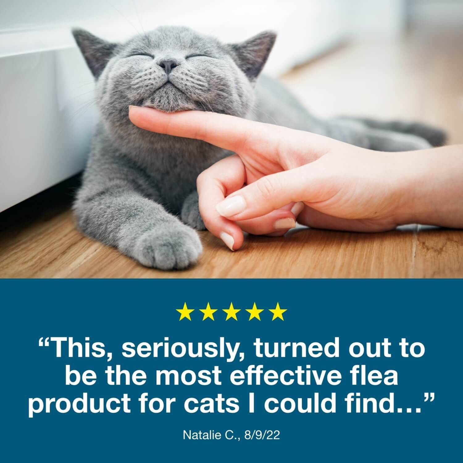 Seresto Flea & Tick Treatment & Prevention Collar For Cats, 8 Months Protection