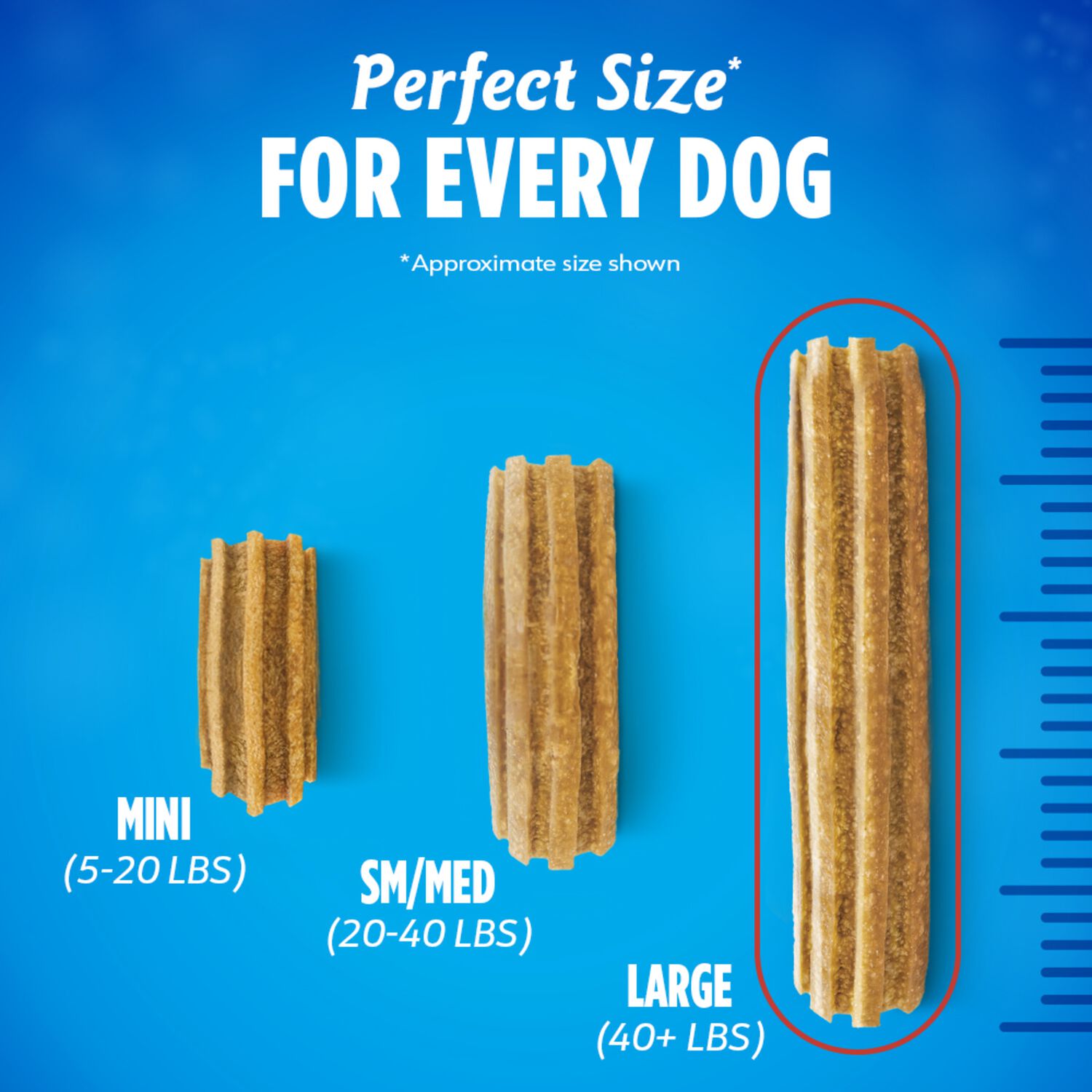 Purina Dentalife Daily Oral Care Chicken Flavor Dog Treats, Large Sized Dogs, 18-Count Bag