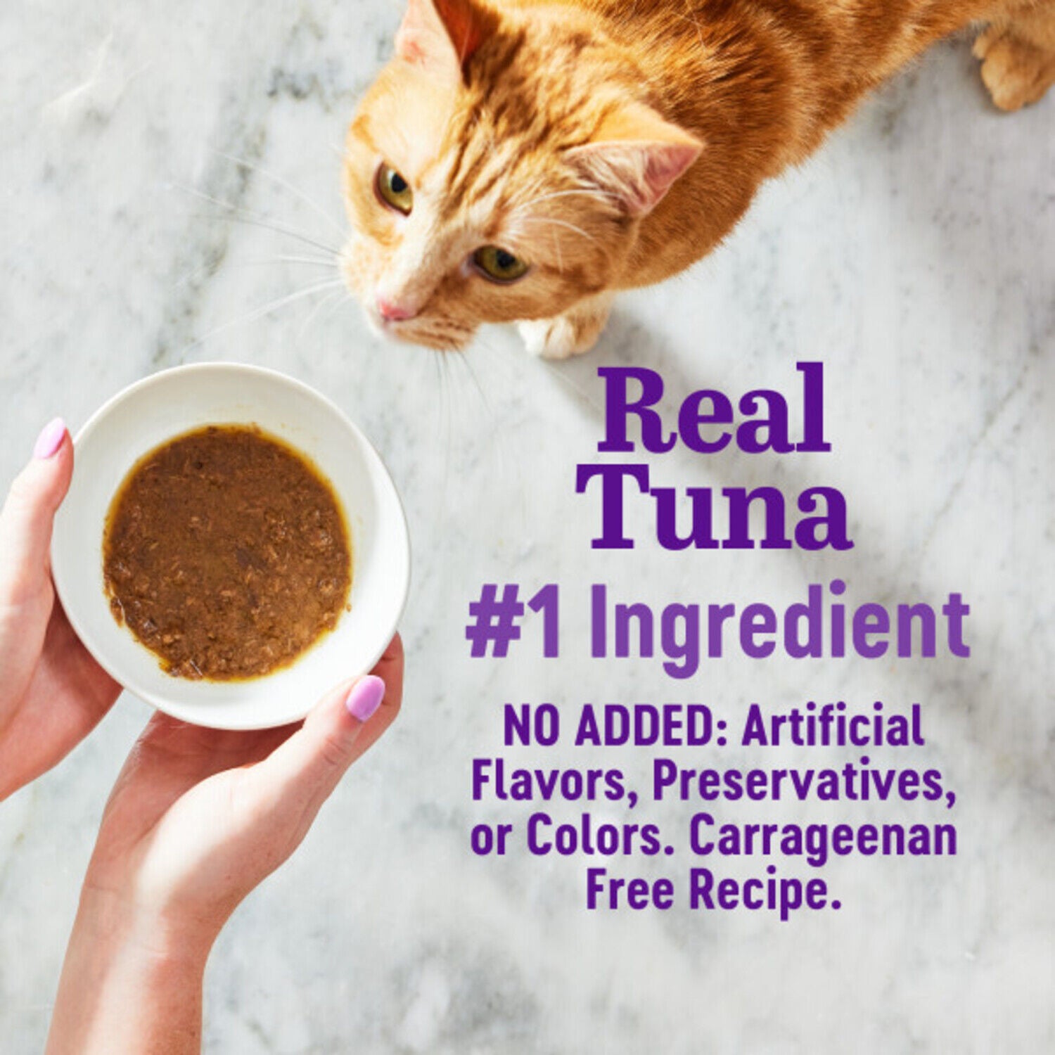Wellness Appetizing Entr&eacute;es Flaked Adult Wet Cat Food, Natural, Protein-Rich, Grain-Free, 2.8-Ounce Pouch, Tuna & Cod Recipe