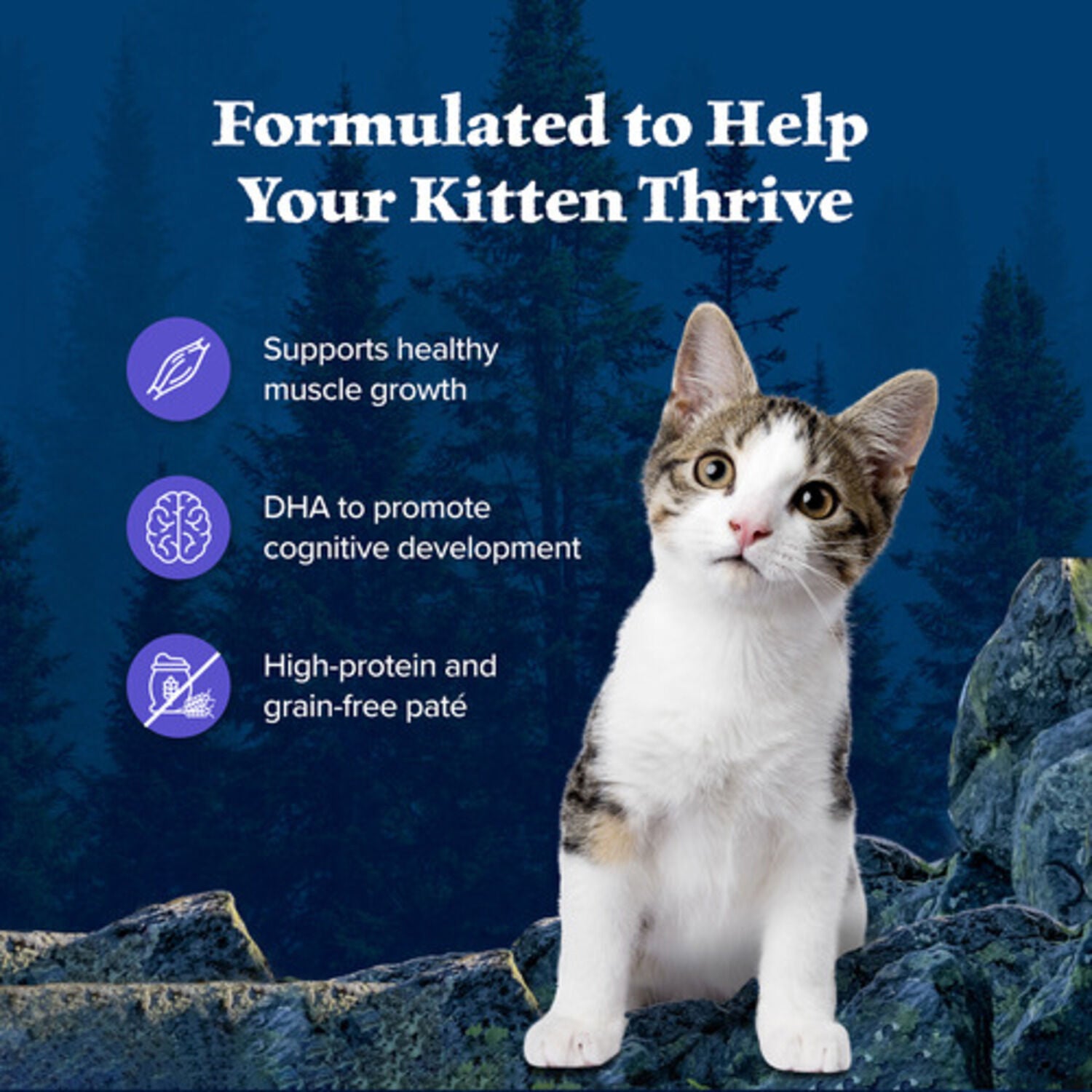 Blue Buffalo Wilderness Kitten Chicken & Salmon Pate Wet Cat Food, Variety Pack, 3-Oz - 6 Pack