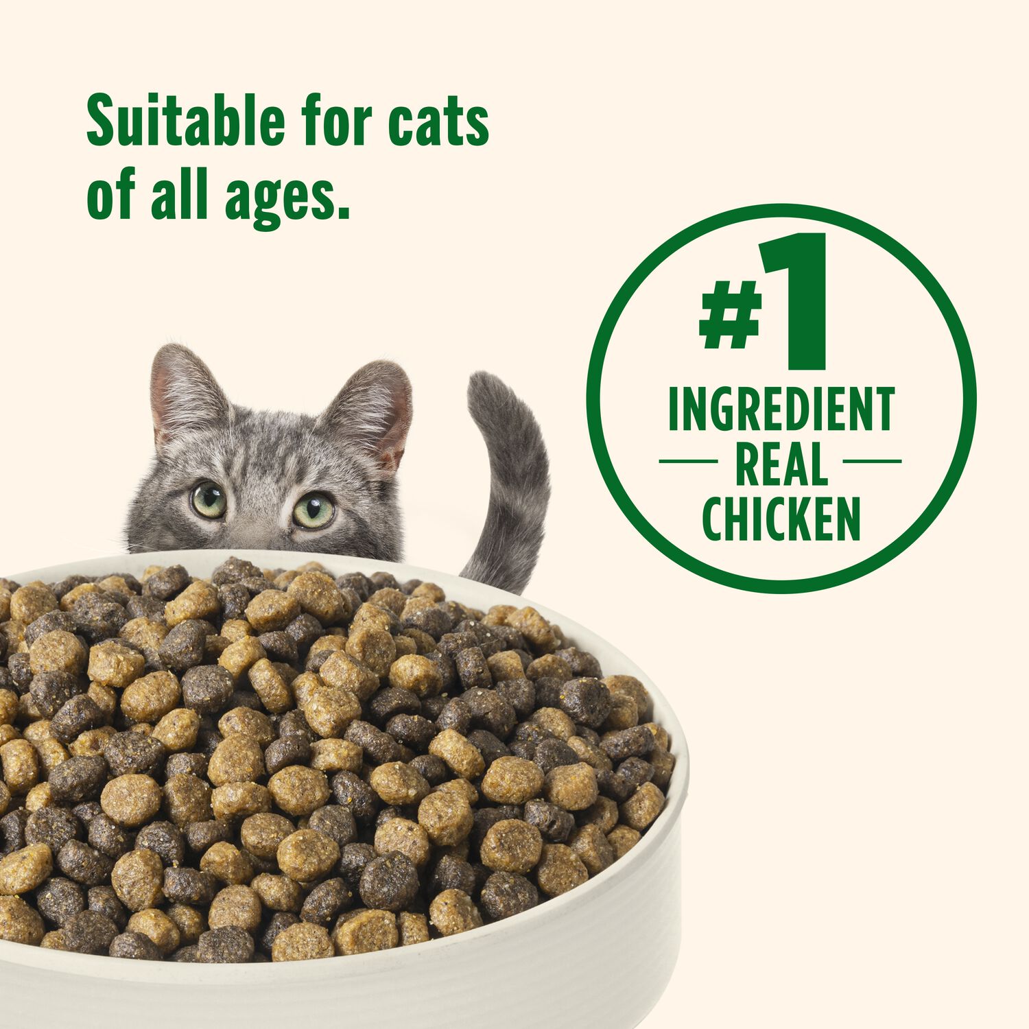 Rachael Ray Nutrish Natural Premium Dry Cat Food, Chicken & Brown Rice Recipe, 6-Lb Bag