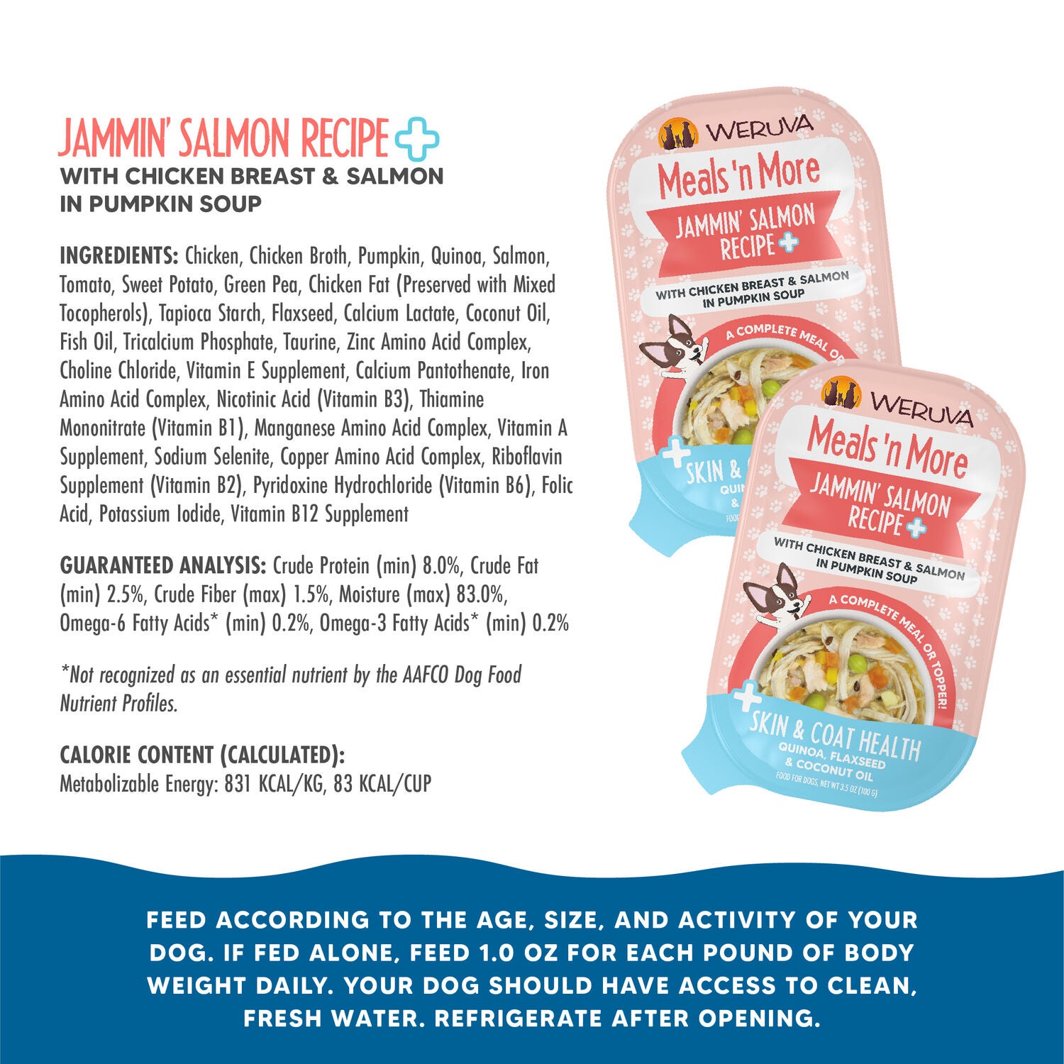 Weruva Meals 'N More Jammin' Salmon Recipe Plus Wet Dog Food, 3.5-Oz.