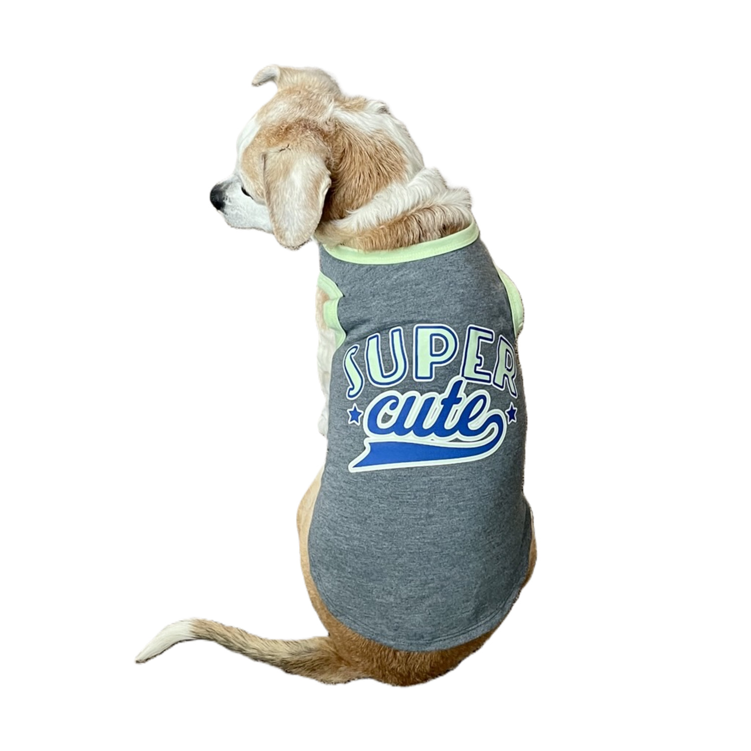 Bailey & Bella Gray Super Cute Muscle Tank Top Dog Shirt, Extra Large
