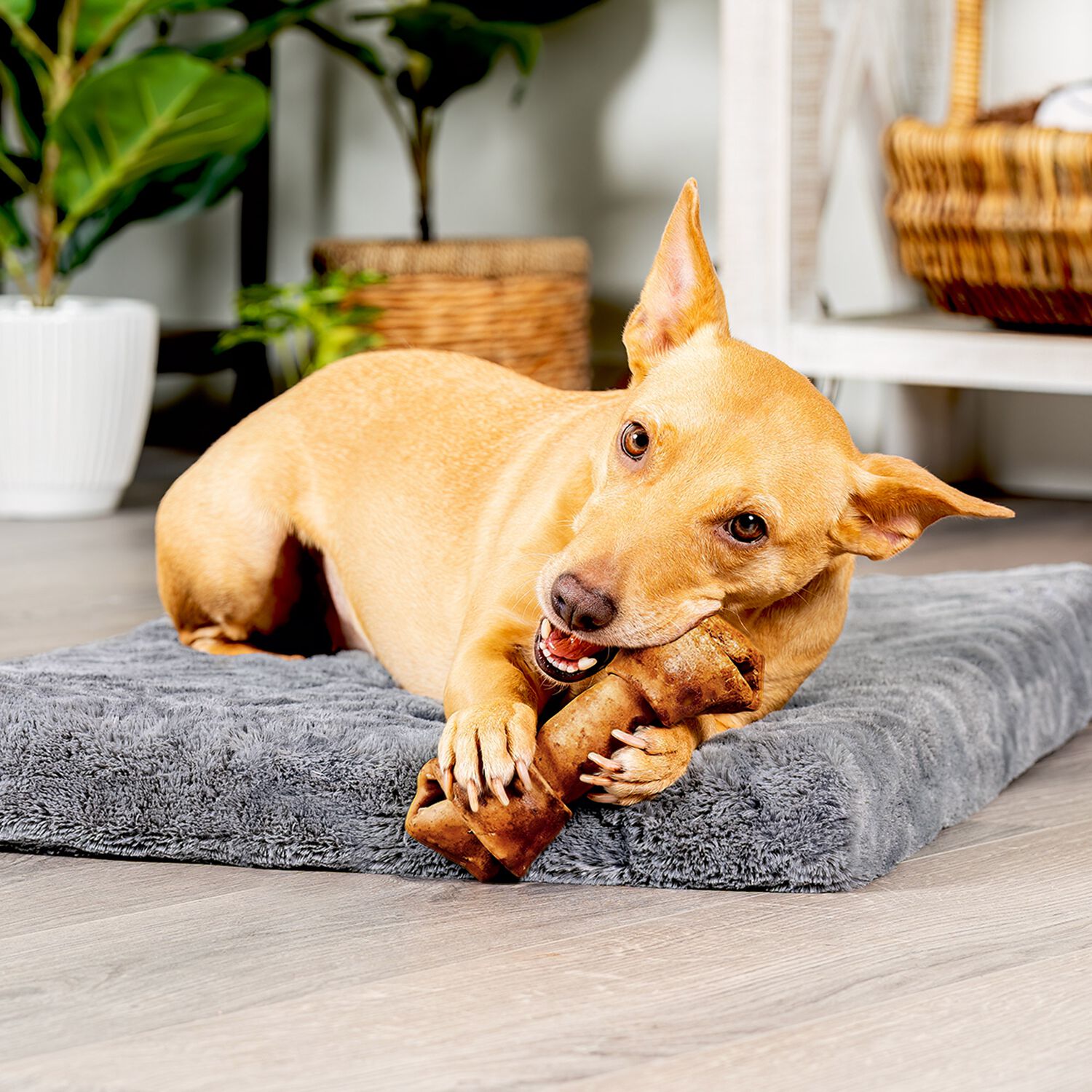 Pet Factory American Beefhide Bones Variety Pack Beef & Chicken Dog Treats, 6-7" Pack Of 8