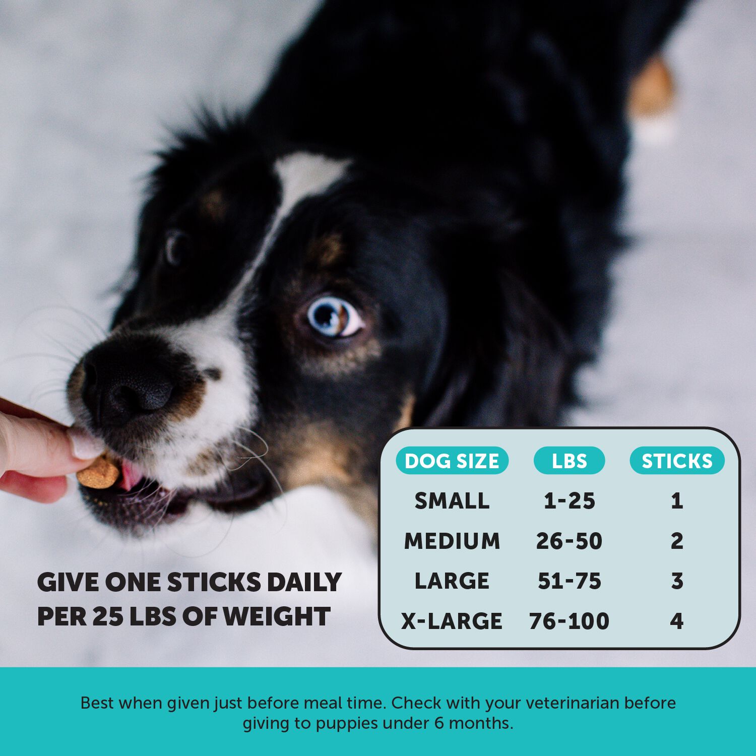 Pet Honesty Hemp Calming Fresh Dental Sticks Dog Chews, Peanut Butter & Pumpkin Flavor, 30-Ct