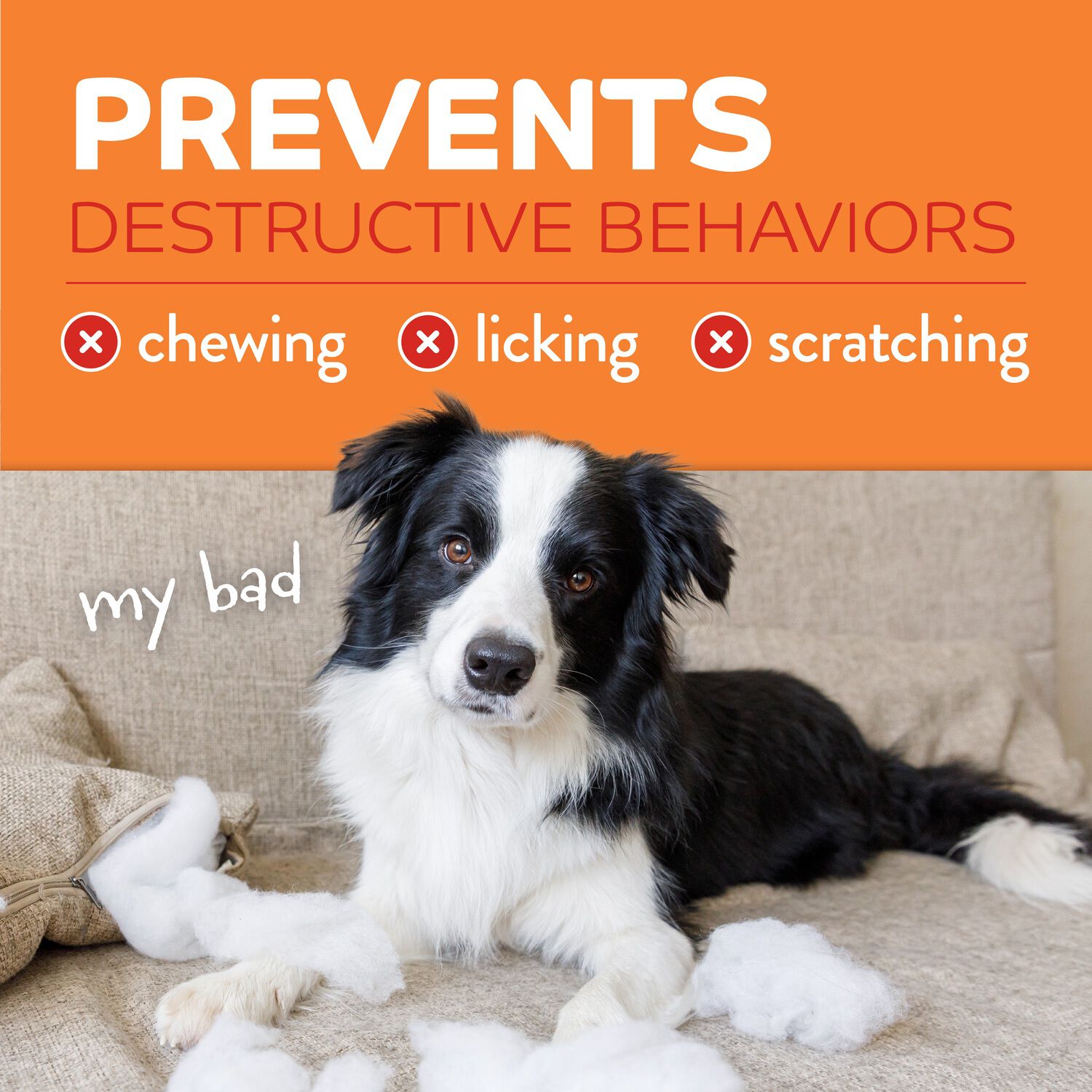 Tropiclean Chew Stop Behavior Aid Home Dog Training Spray, 8Oz