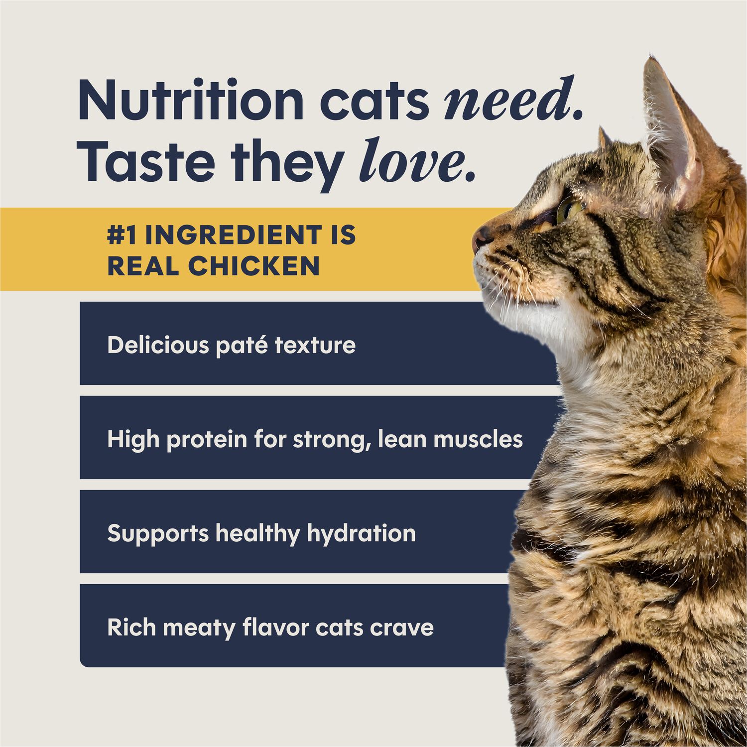 Instinct Pate Grain-Free Wet Cat Food, Real Chicken Entr&eacute;e, 2.64-Oz Split Cup Pack Of 12