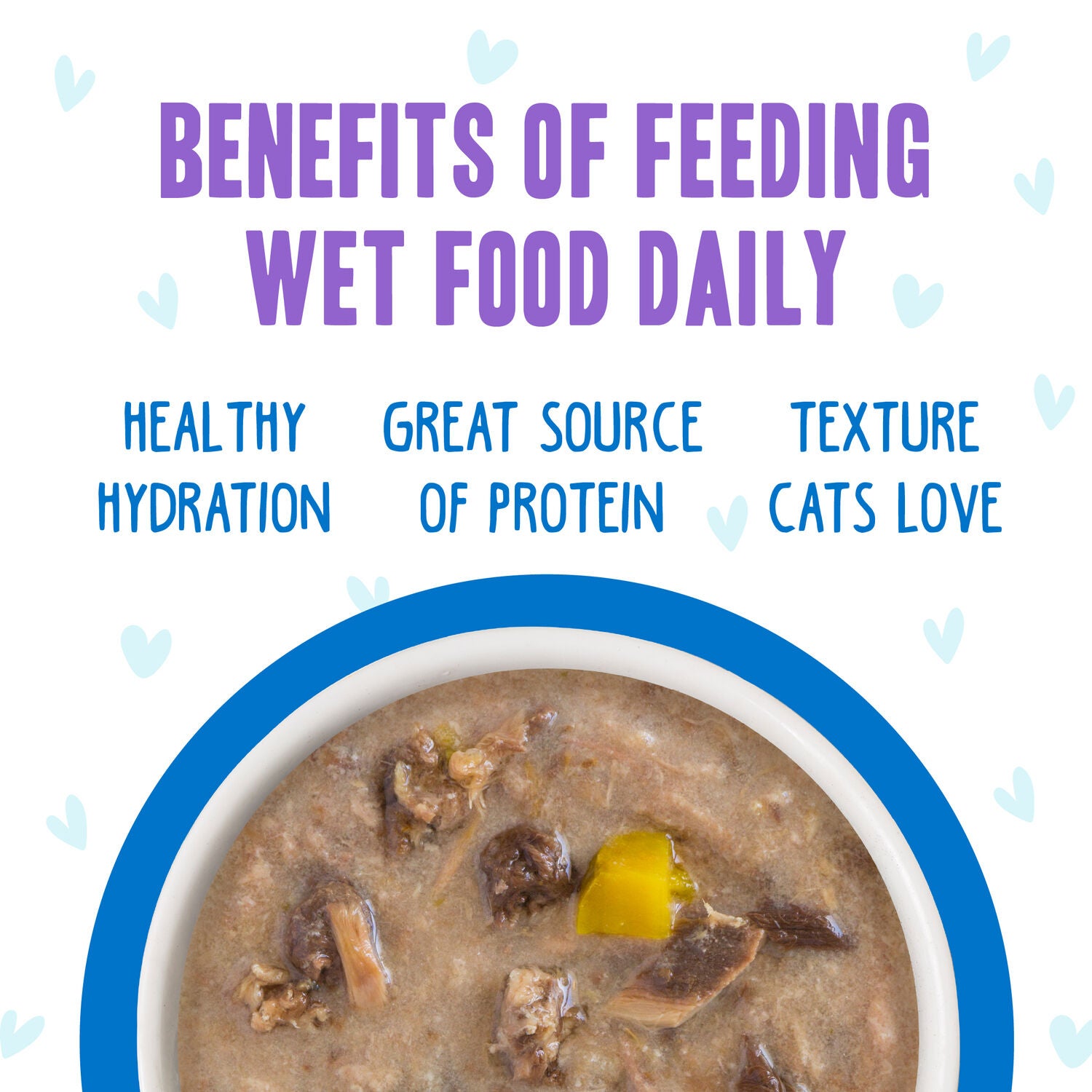 Weruva Bff Omg Gravy Chicken & Pumpkin Love Munchkin! Wet Cat Food, 2.8-Oz Can