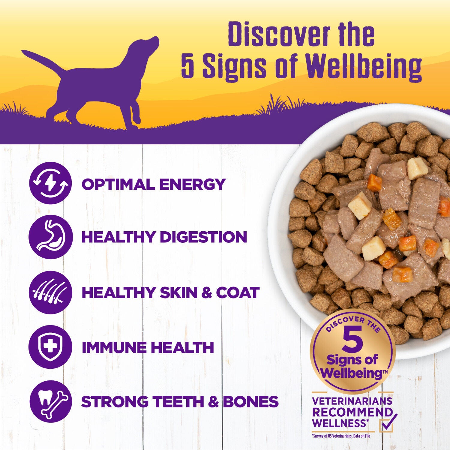 Wellness Complete Health Canned Wet Dog Food, Venison & Salmon Stew, 12.5-Ounce Can