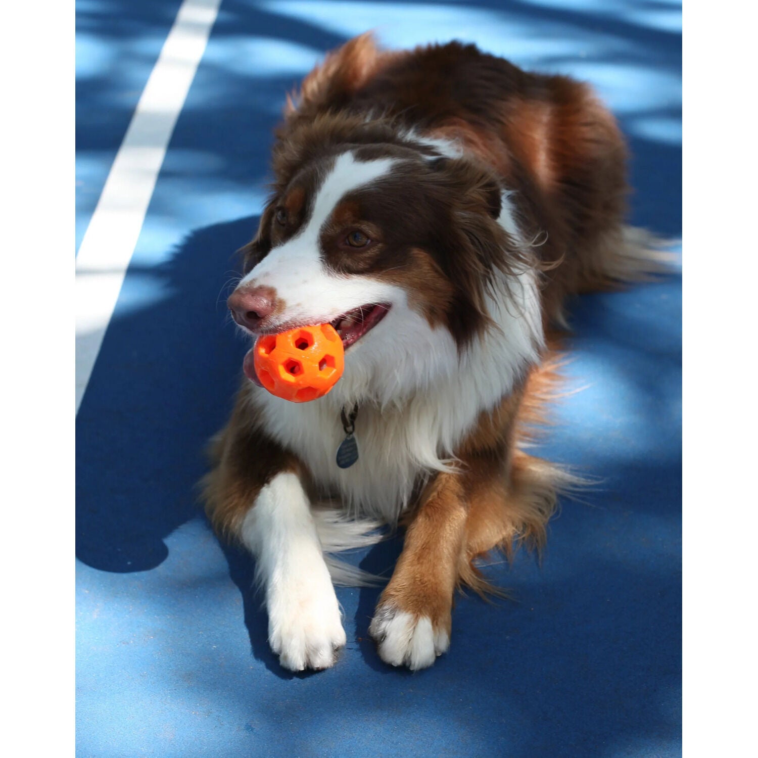 N-Gage Active Ball Dog Toy