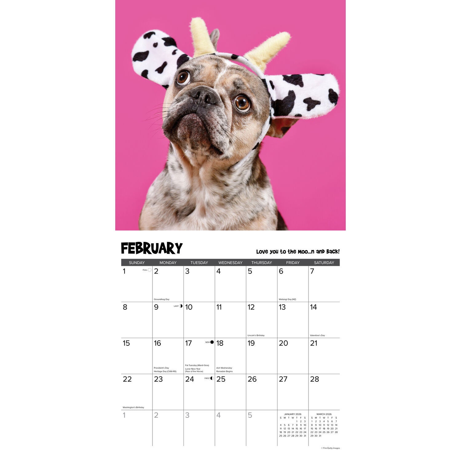 Willow Creek Press 2026 Pardon My Frenchie Wall Calendar