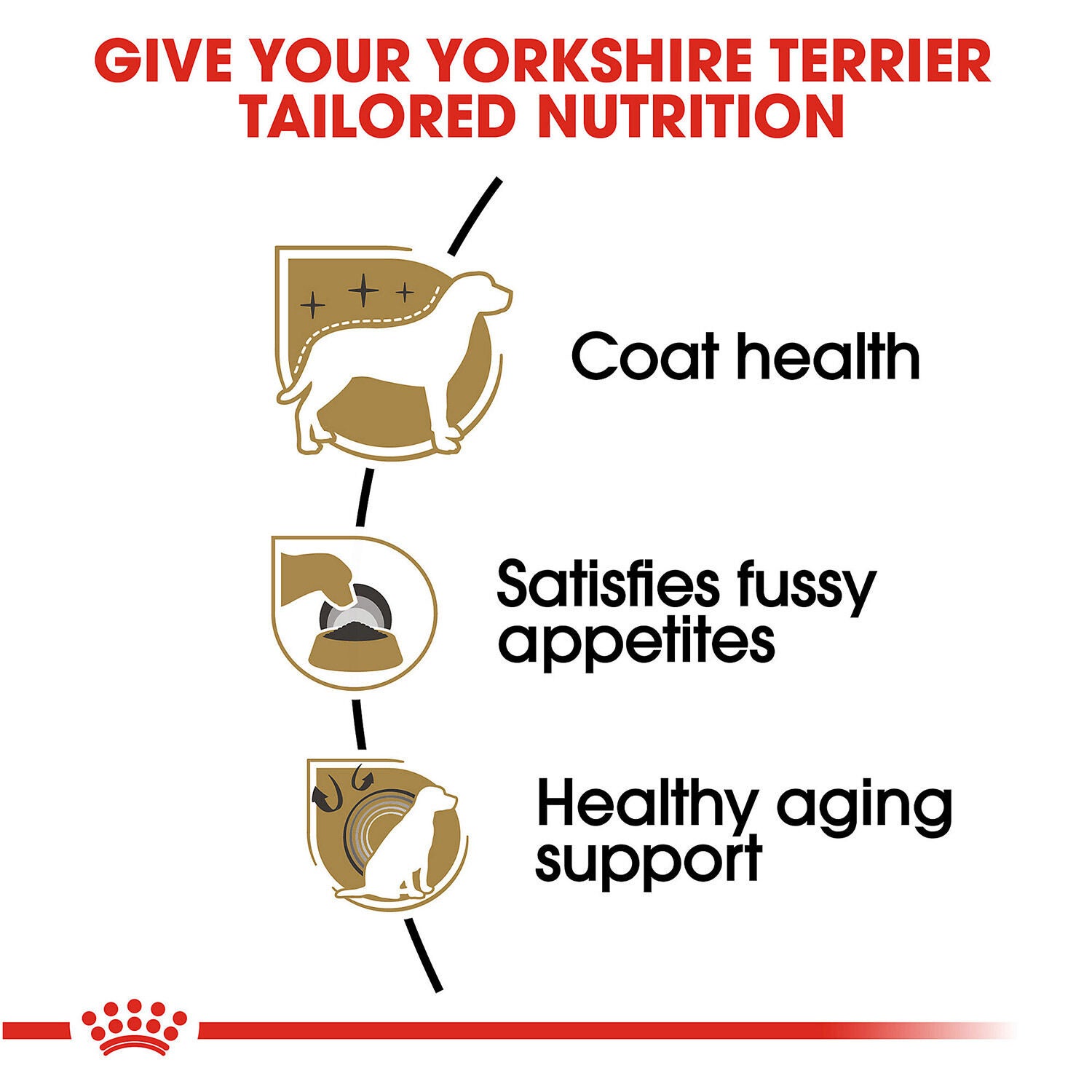 Royal canin yorkie wet food cheap