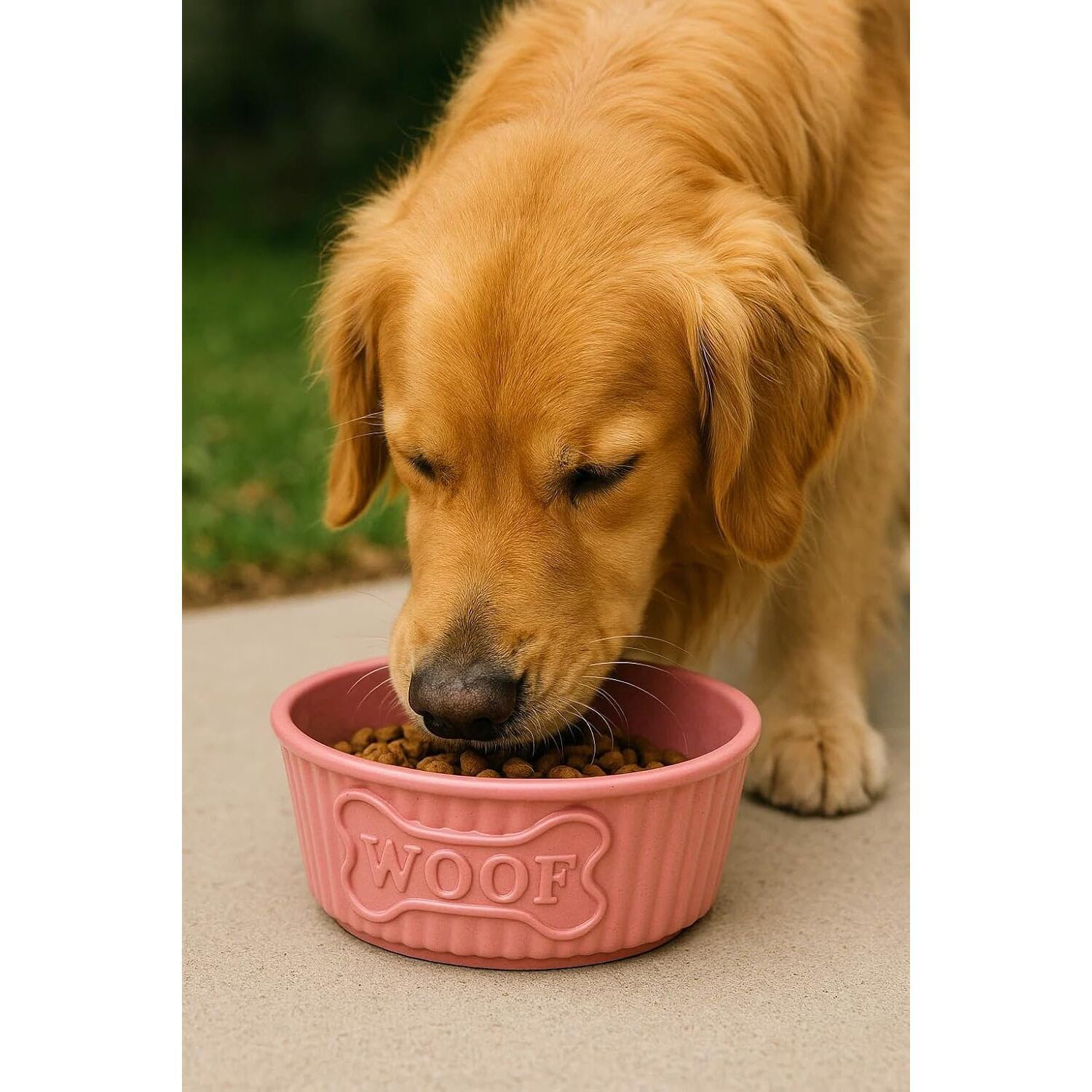 Abode Homewares Woof Durable Dog Bowl, Pink, Medium