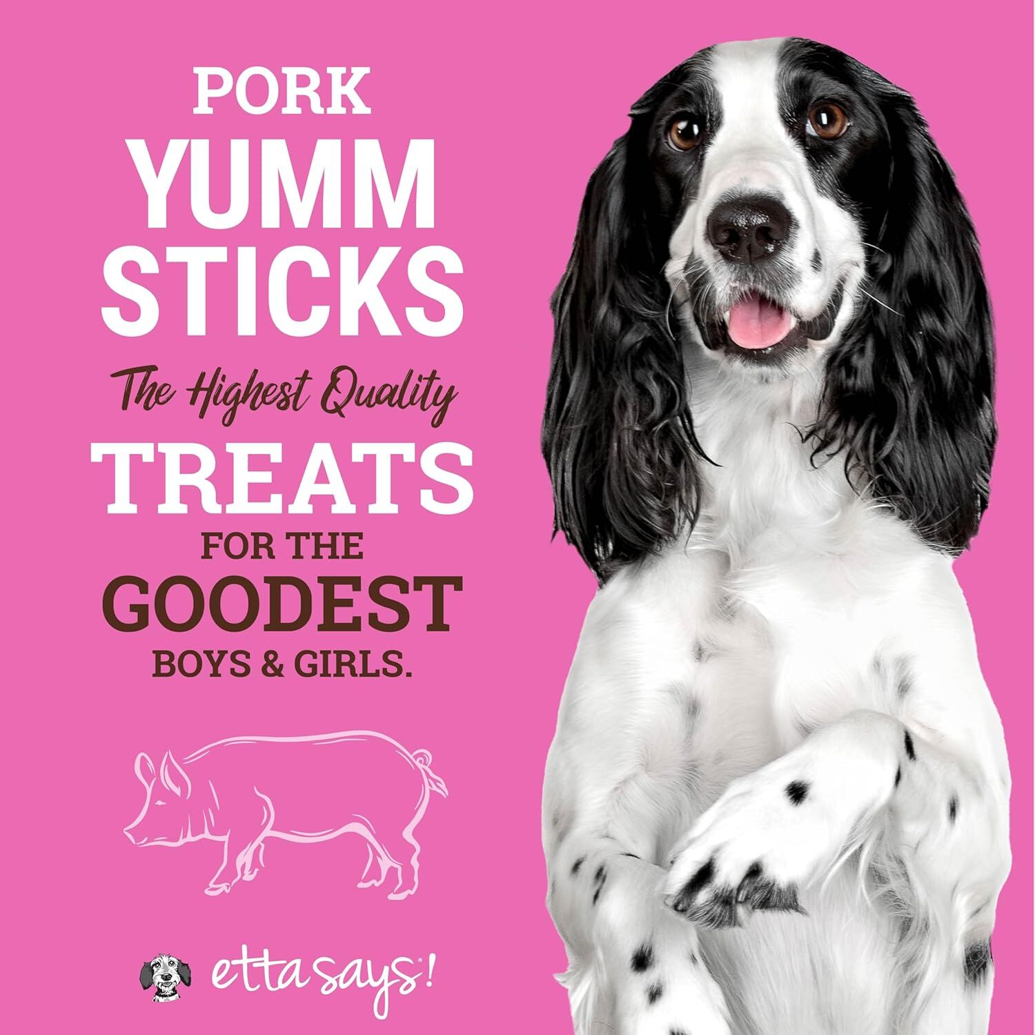 Etta Says! Pork Yumm Stick Dog Treat, 1 Count