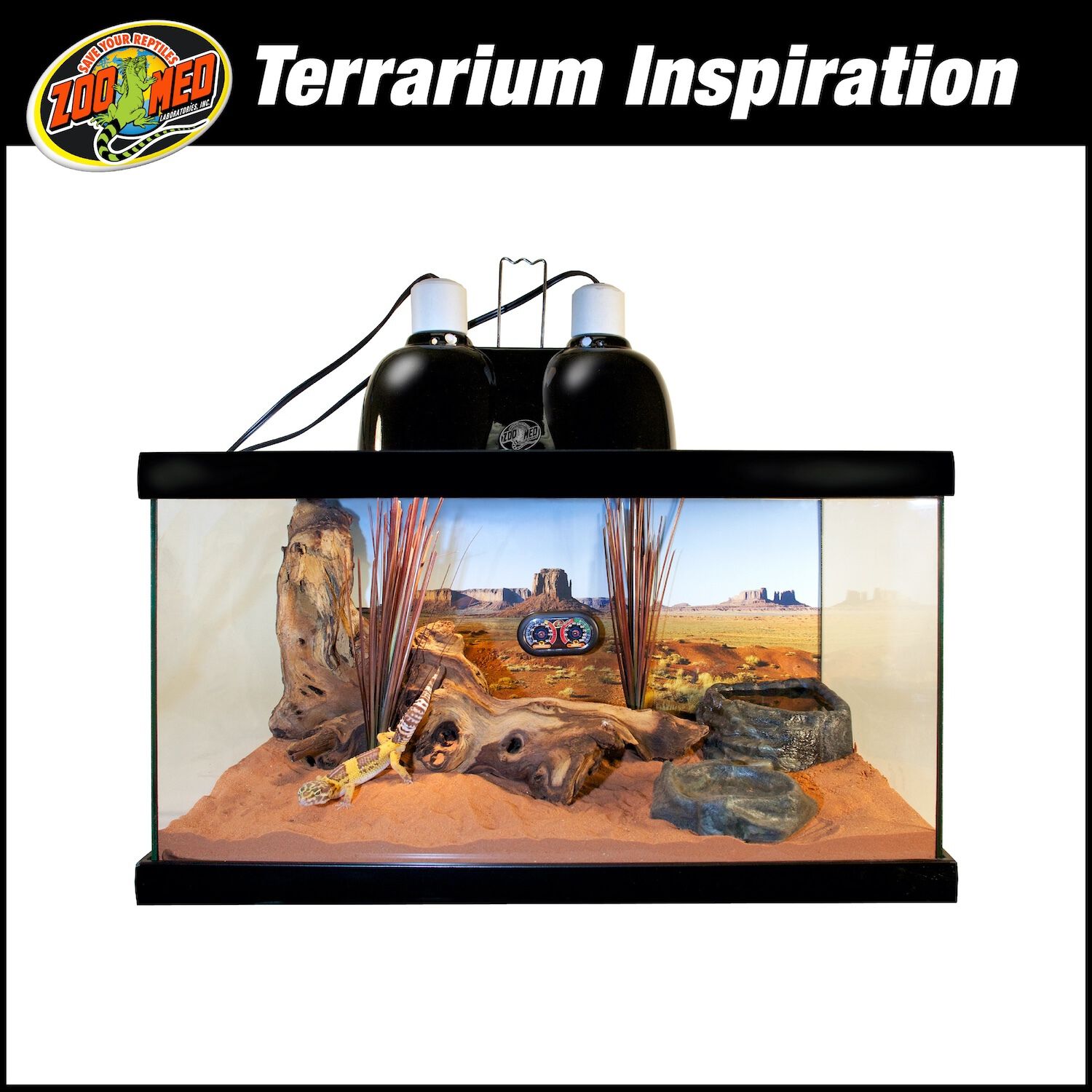Zoo Med Reptihabitat 10 Gallon Desert Starter Kit Reptile Enclosure