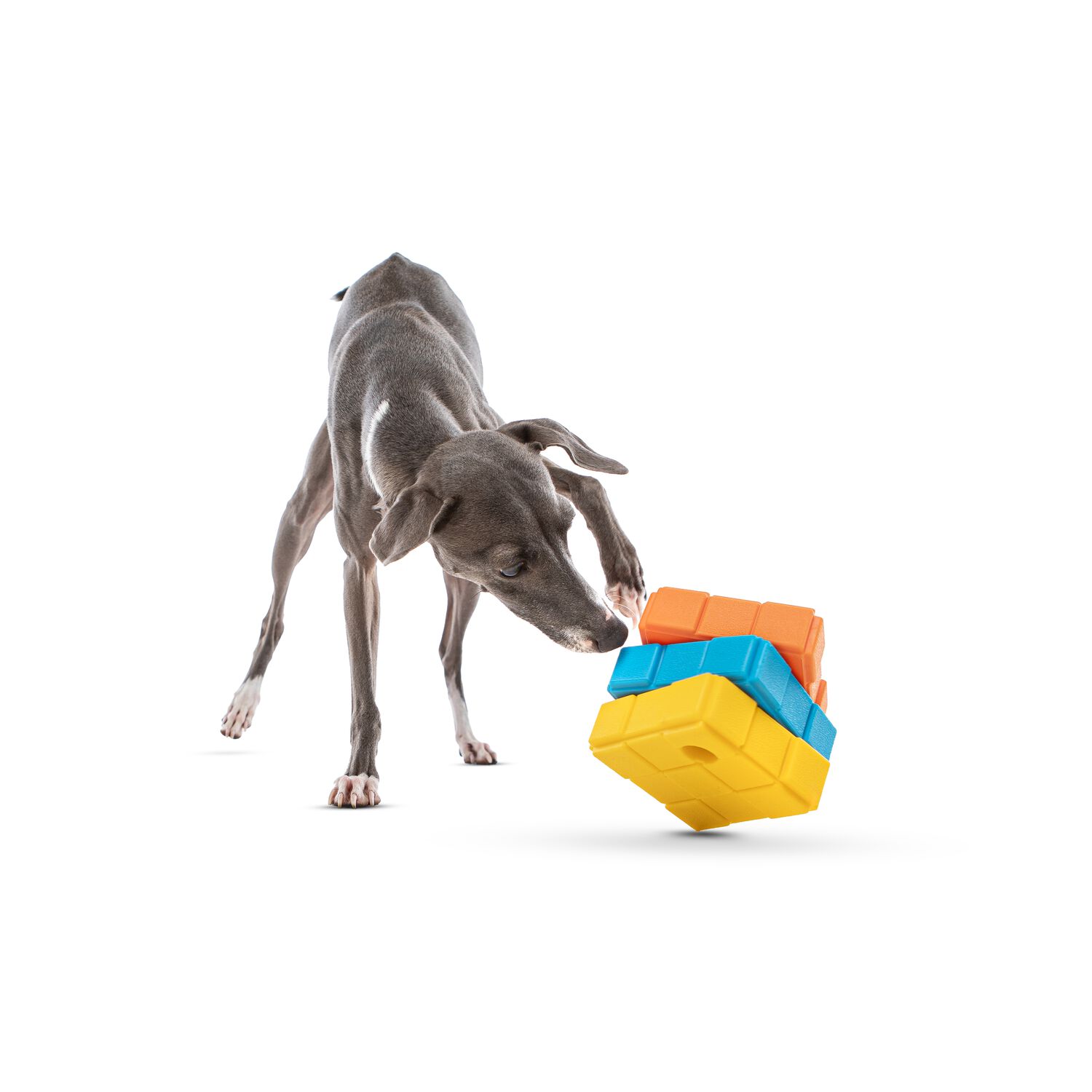 Guru Dog-X-Cube Interactive Treat Dispensing Puzzle Dog Toy, Medium