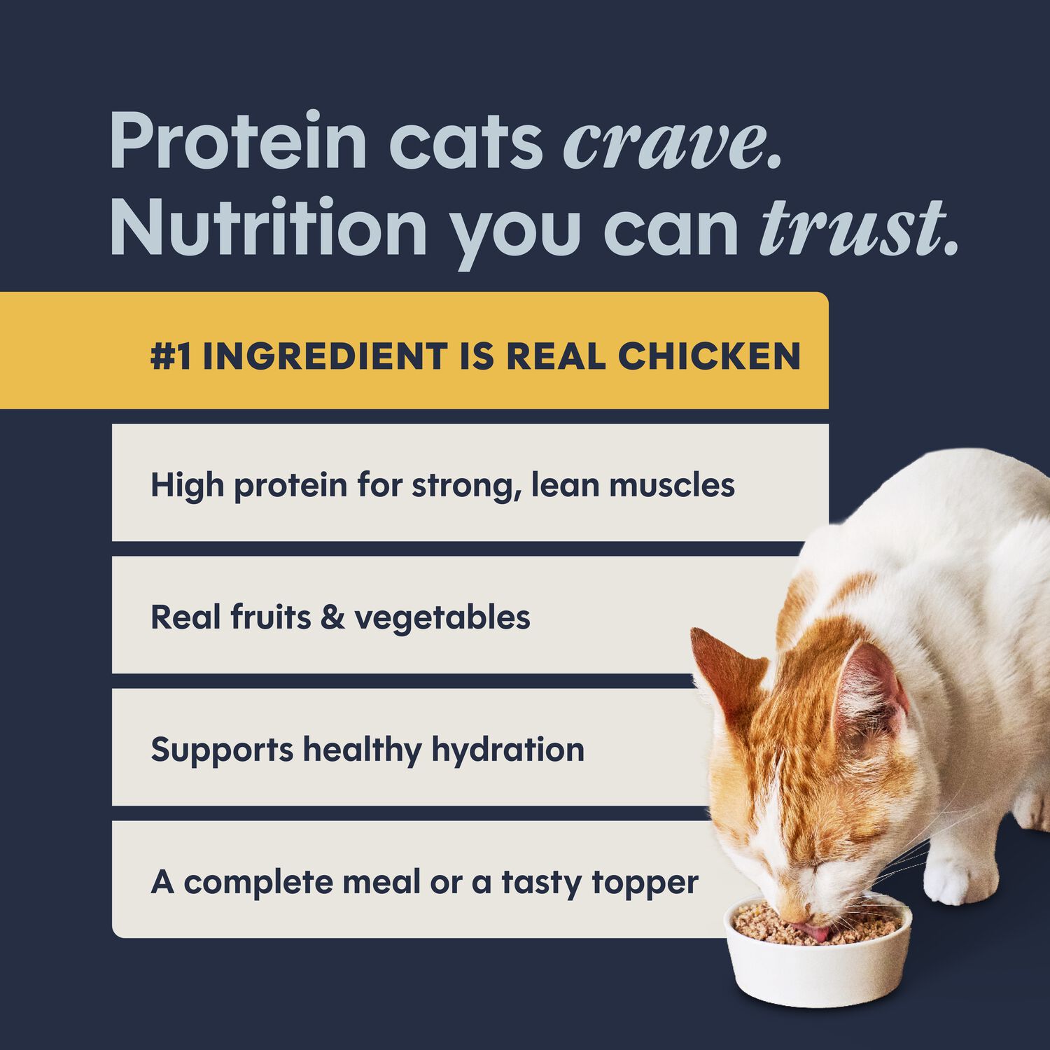 Instinct Original Grain-Free Pate Wet Cat Food,  Chicken Recipe, 3-Oz Can Pack Of 24