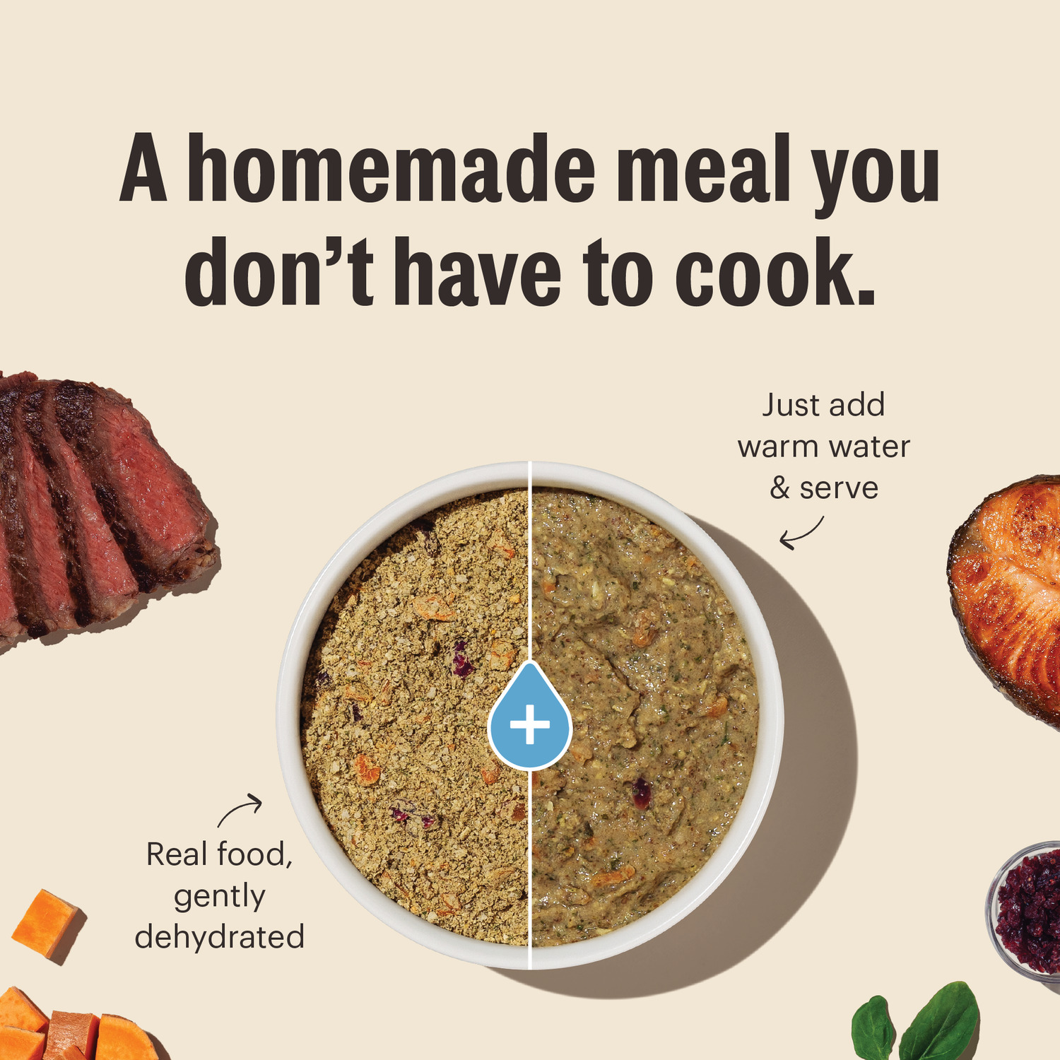 The Honest Kitchen Wholemade Whole Grain Beef & Oat Recipe Dehydrated Dog Food, 1.5-Oz Pack Of 10