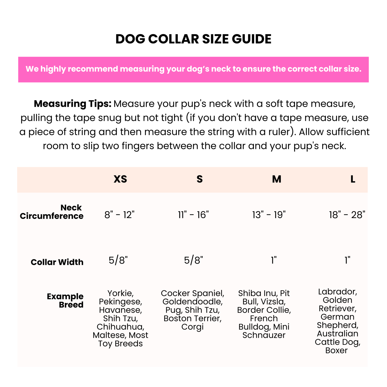 Pink Papyrus August Velvet With Gold Buckle Adjustable Dog Collar, Purple, Small, 11-16"
