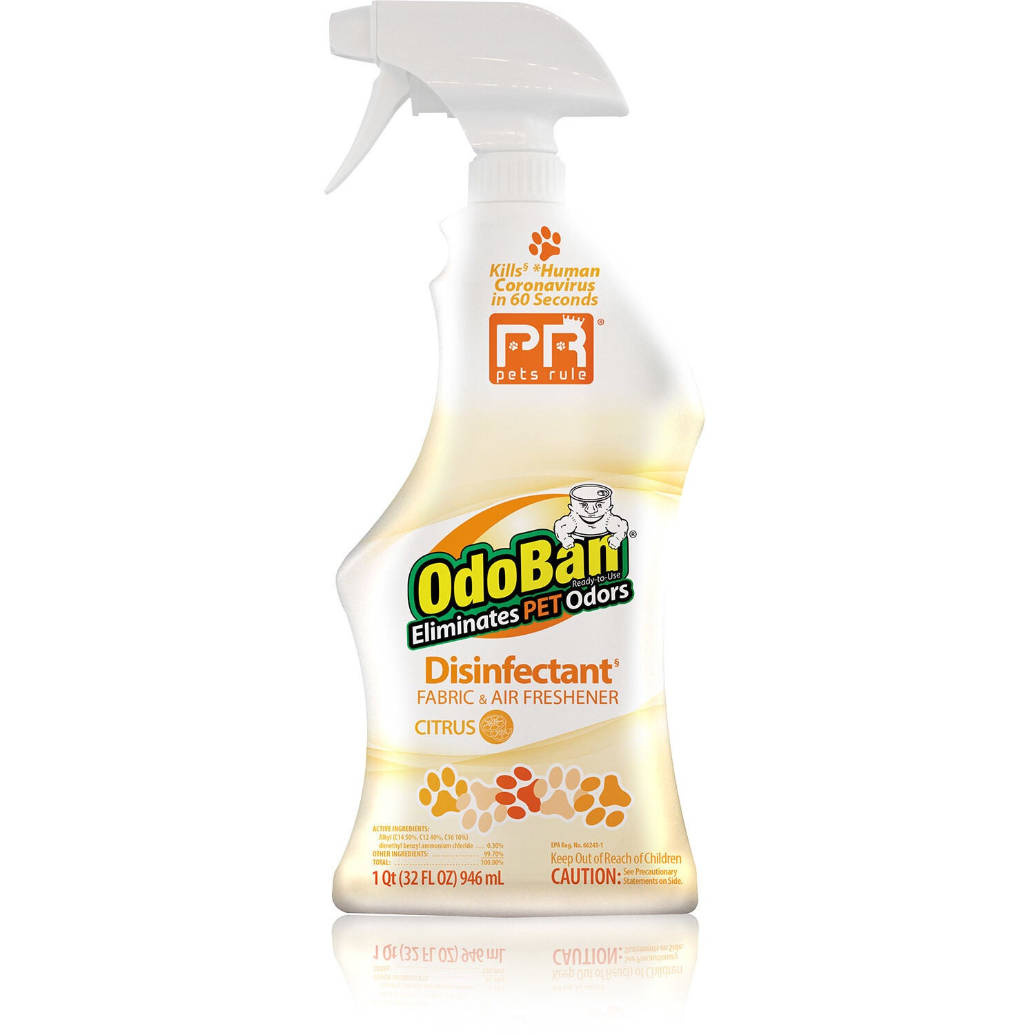 Best Odor Absorber For Pets