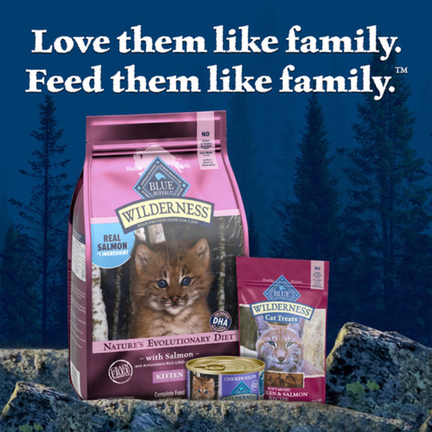 Blue Buffalo Wilderness Kitten High-Protein & Grain-Free Salmon Recipe Dry Cat Food, 5-Lb Bag