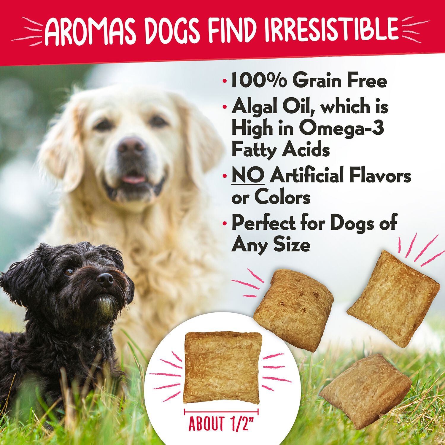 Charlee Bear Nuggets Grain-Free Crunchy Skin & Coat Dog Treats, Straw-Beary Swirl, 6-Oz
