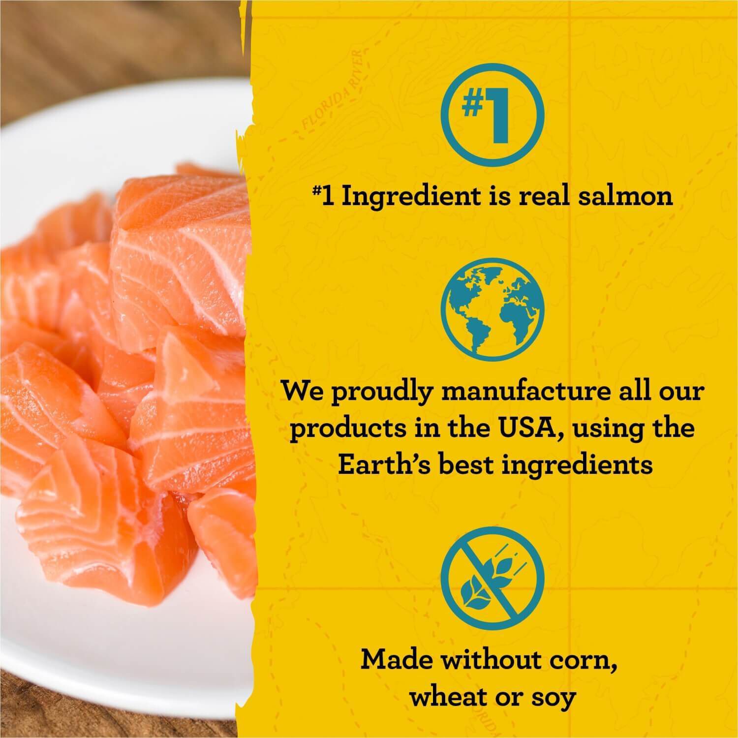 Zukes Naturals Soft Puppy Naturals Treats Salmon Recipe Pet