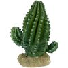 Columnar Cactus For Reptile Enclosures thumbnail number 2