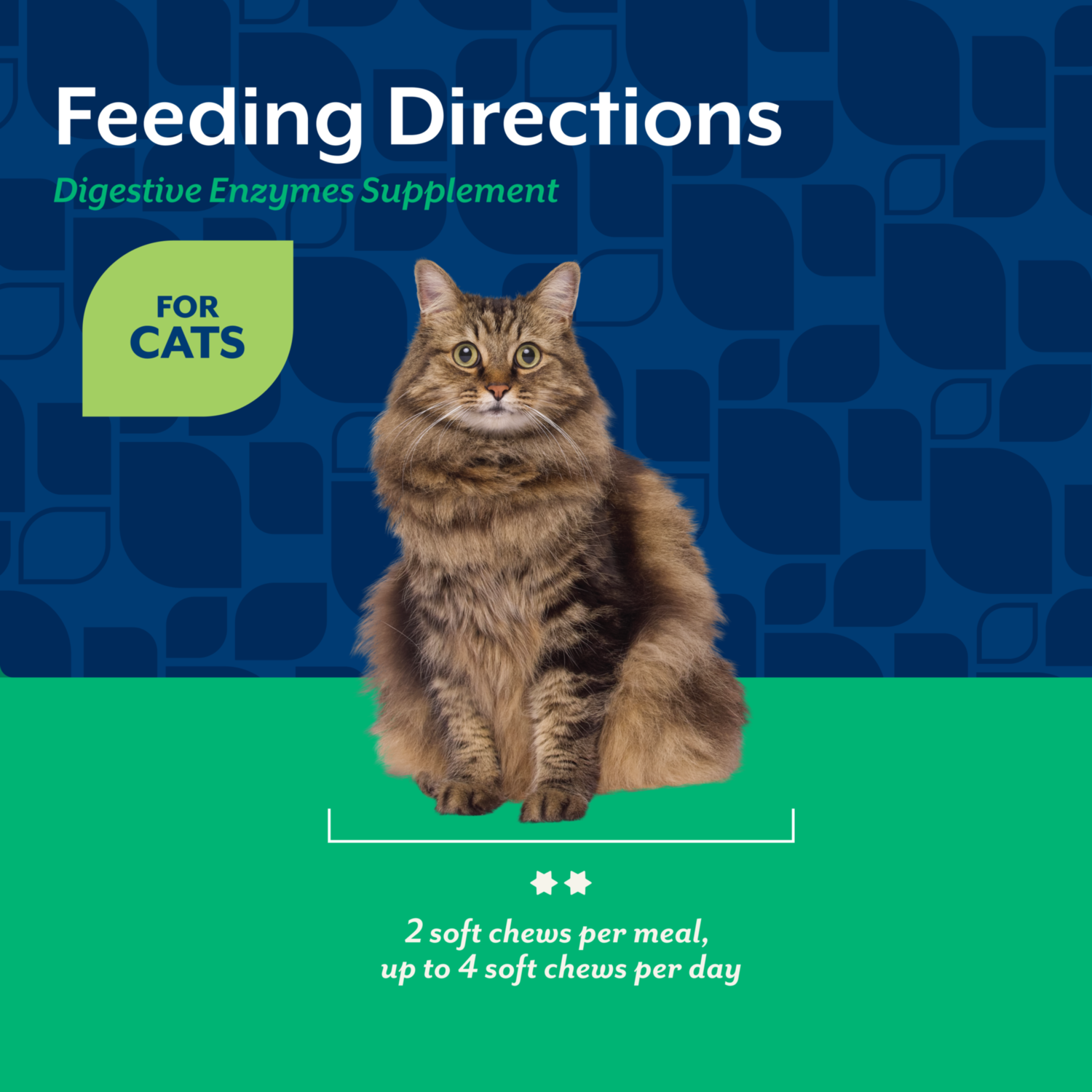 Naturvet Digestive Enzymes Pre+Probiotic Daily Soft Chew Supplement For Cats