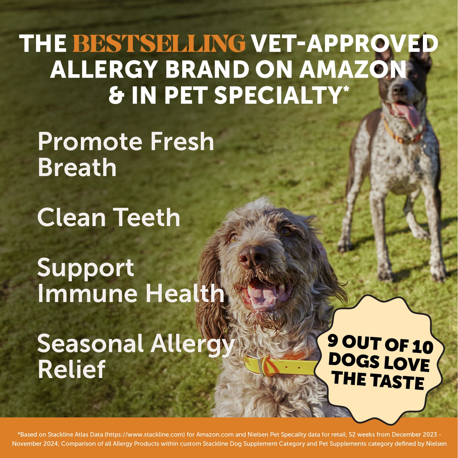 Pet Honesty Allergy Support Fresh Dental Sticks Dog Chews, Peanut Butter & Pumpkin Flavor, 30-Sticks