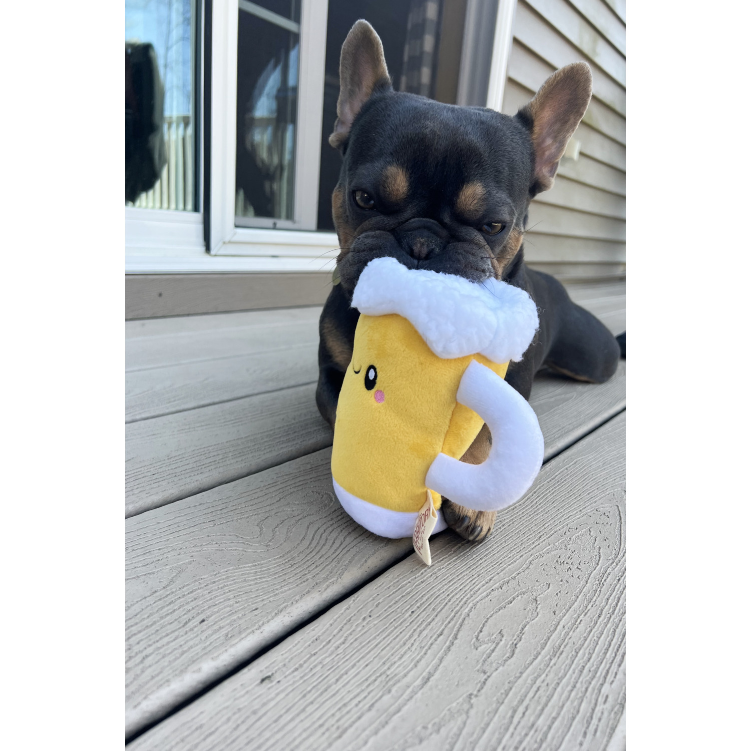 Territory Beer With Squeaker Dog Toy, 7"