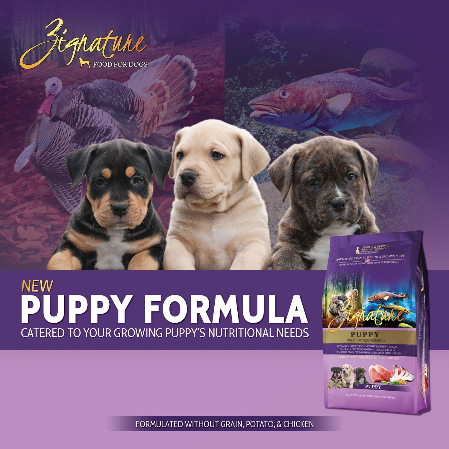 Zignature Puppy Formula Dry Dog Food, 4Lb