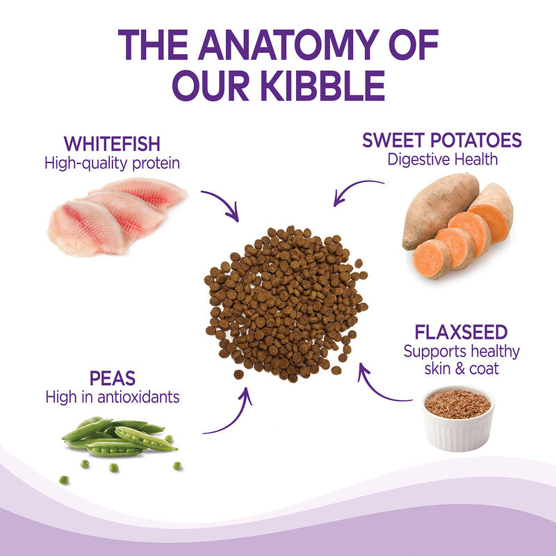 Complete Health Whitefish & Sweet Potato Recipe Dog Food image number 3