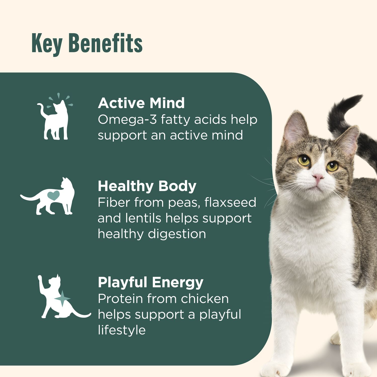 Rachael Ray&reg; Nutrish&trade; Indoor Complete Chicken, Lentils & Salmon Recipe Dry Cat Food, 14-Lb Bag