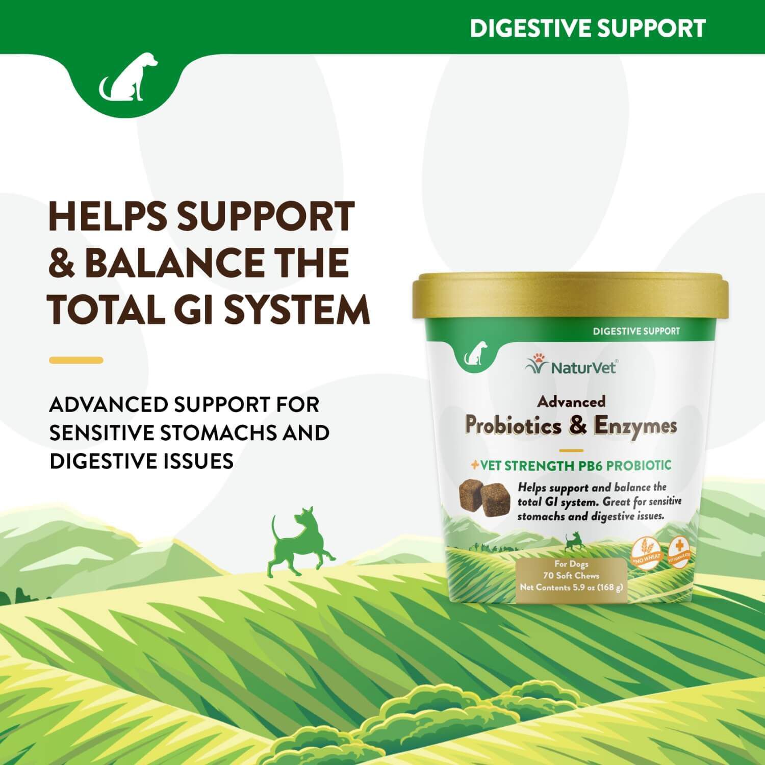 Naturvet Advanced Probiotics And Enzymes Supplement, Plus Vet Strength Pb6 Probiotic For Dogs