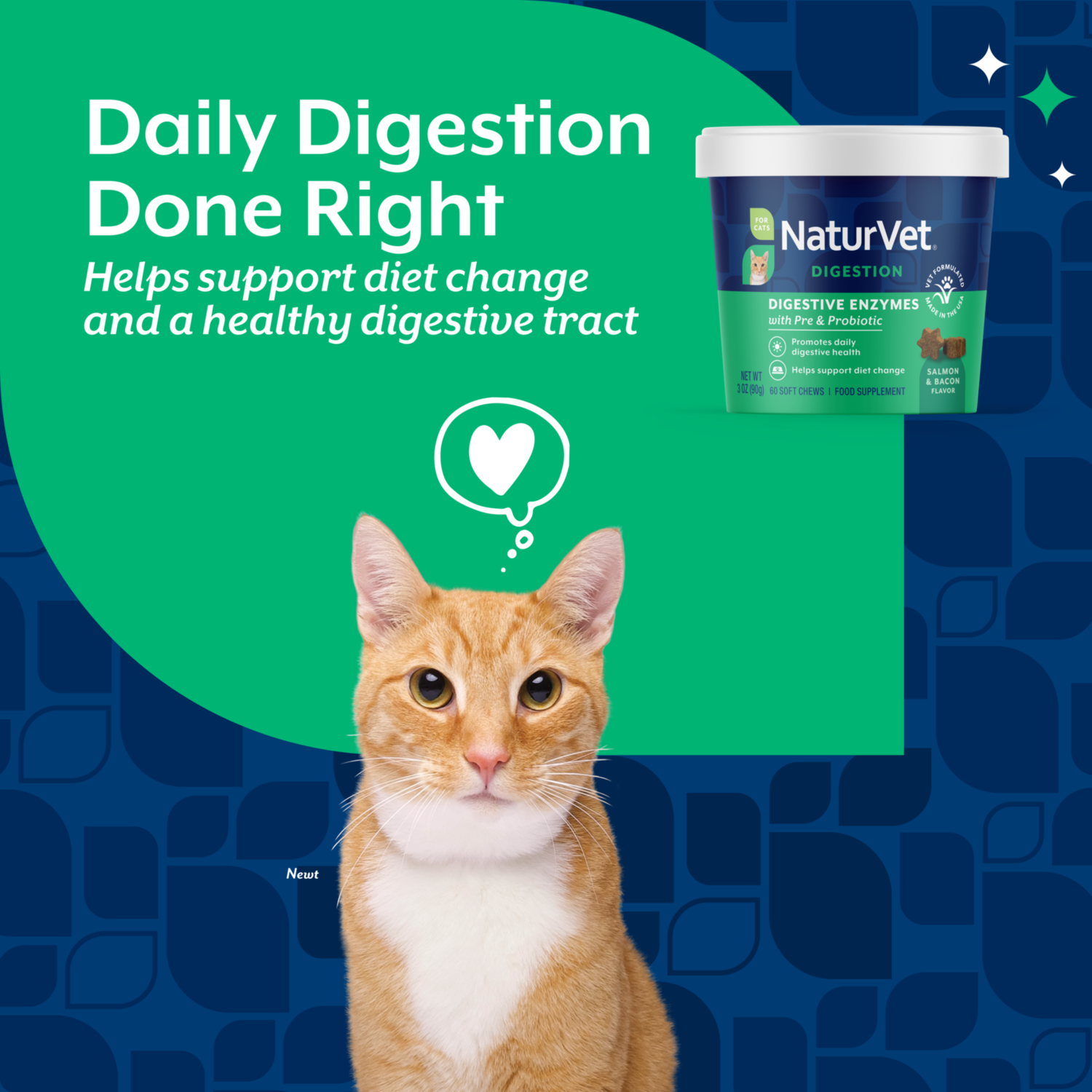Naturvet Digestive Enzymes Pre+Probiotic Daily Soft Chew Supplement For Cats