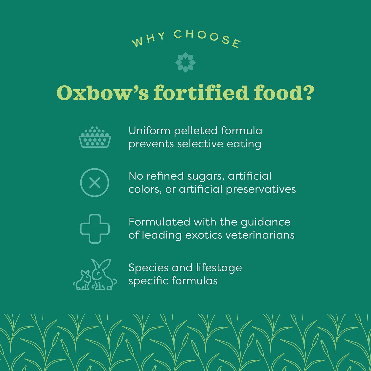 Oxbow Essentials Ferret Diet 4 Lb Food