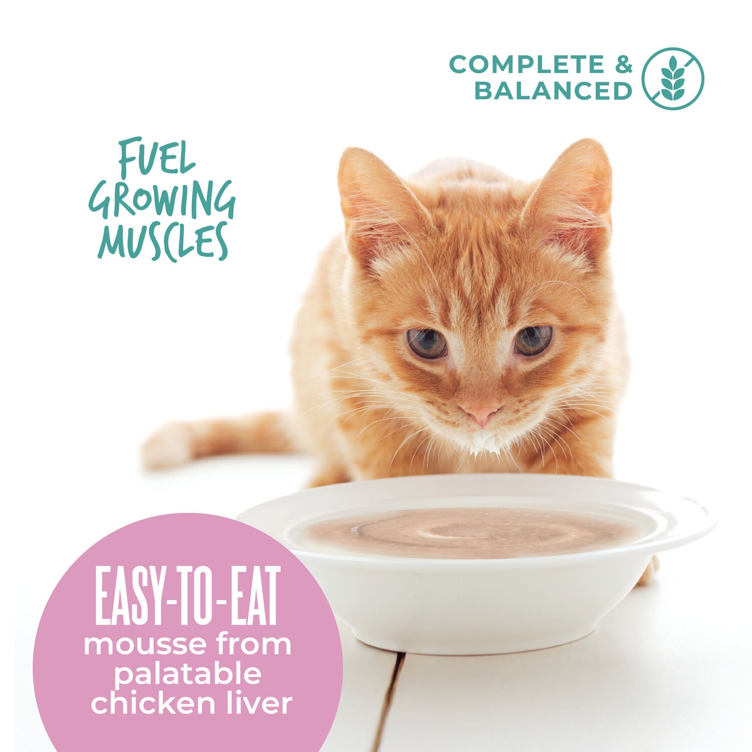 Tiki Cat Baby Mousse Wet Cat Food, Chicken, Tuna & Chicken Liver, 2.4-Oz Pouch Pack Of 12