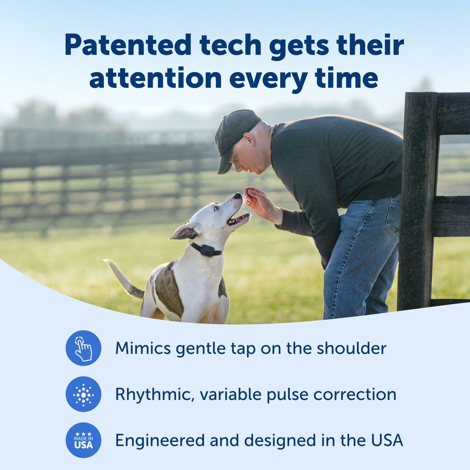Petsafe Core Dog Trainer With Remote &ndash; Waterproof Dog Training Collar, 1000 Foot Range