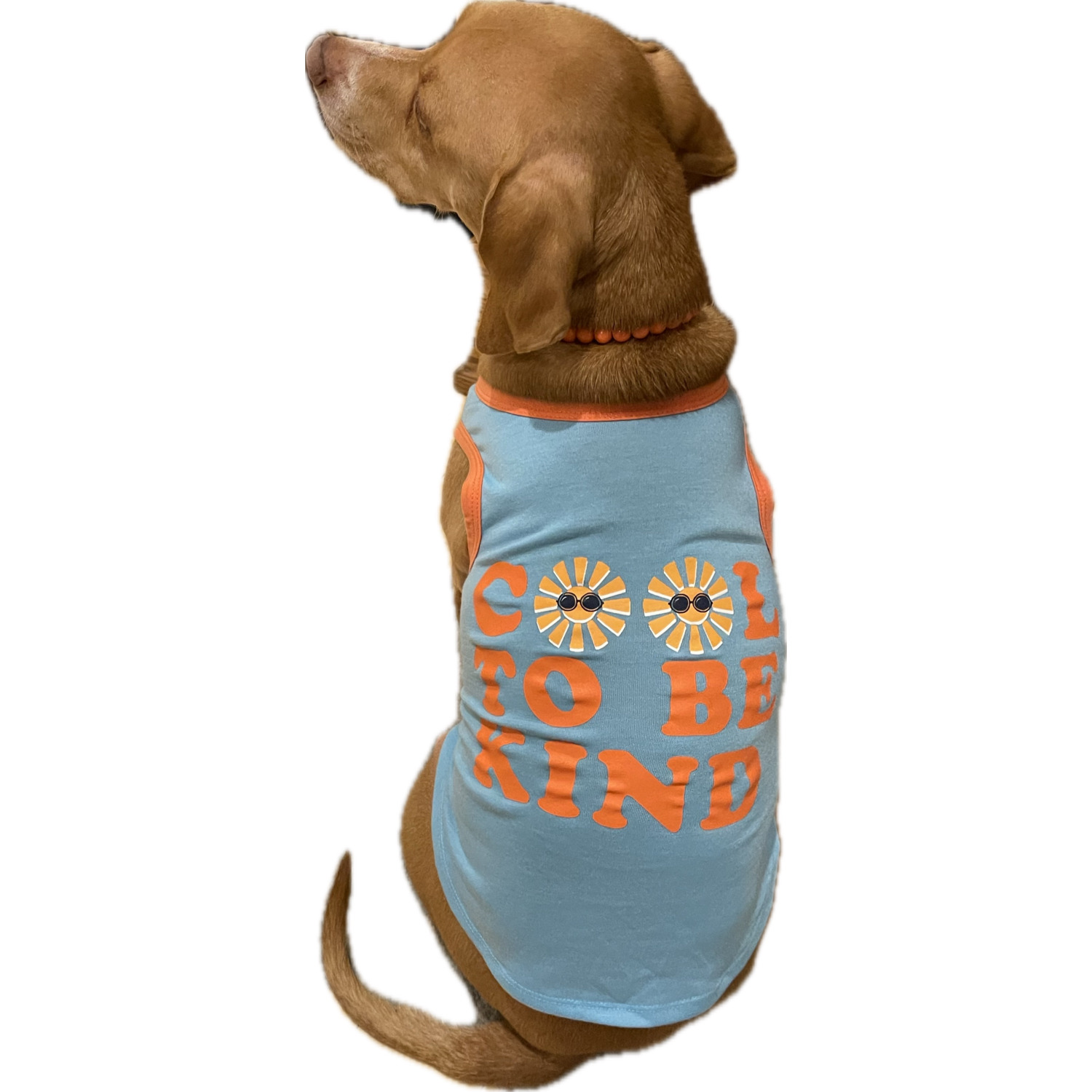 Simply Dog Cool To Be Kind Dog Tank Top Shirt, Green & Orange