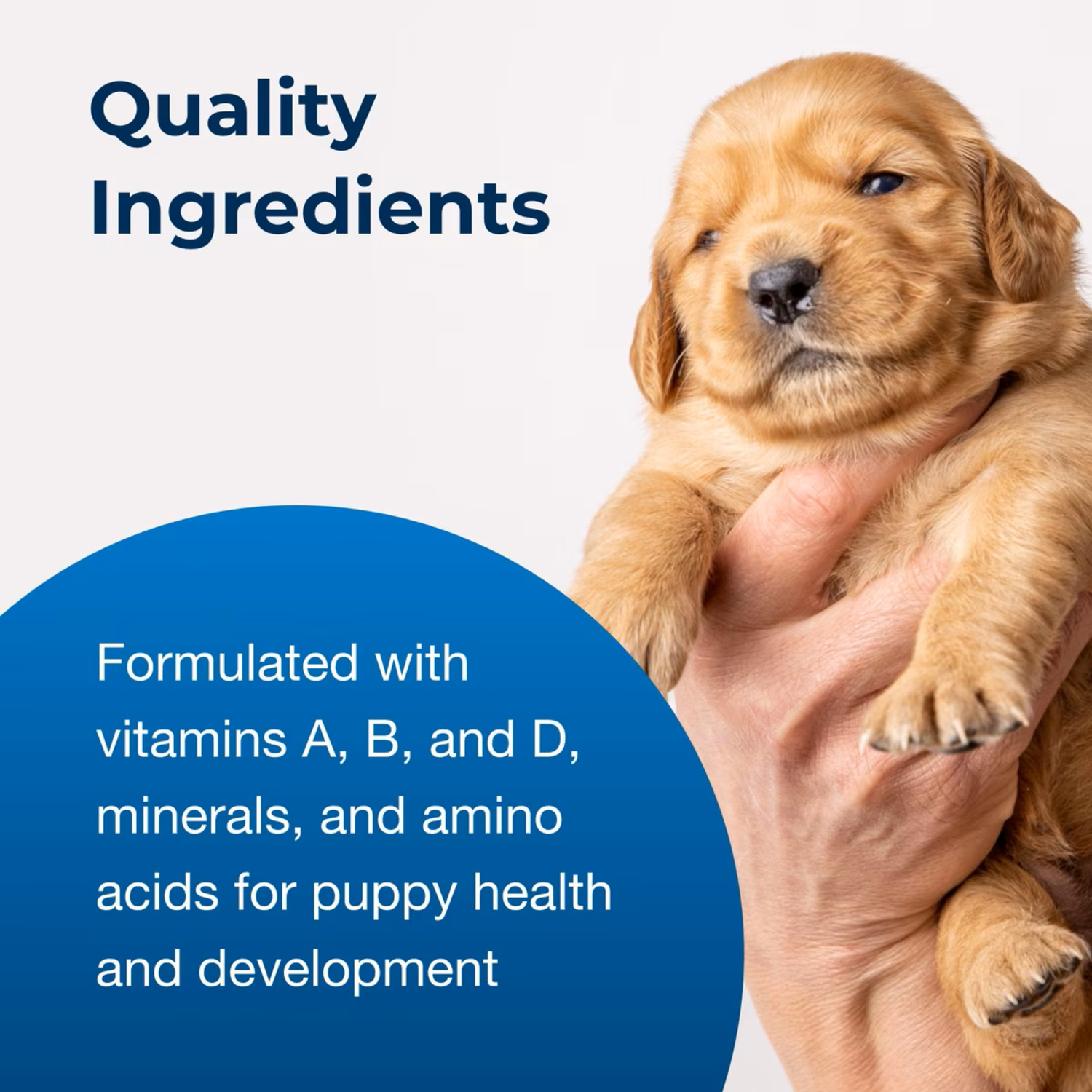 Petag Petlac Puppy Milk Replacement Powder For Puppies, 10.5-Ounces