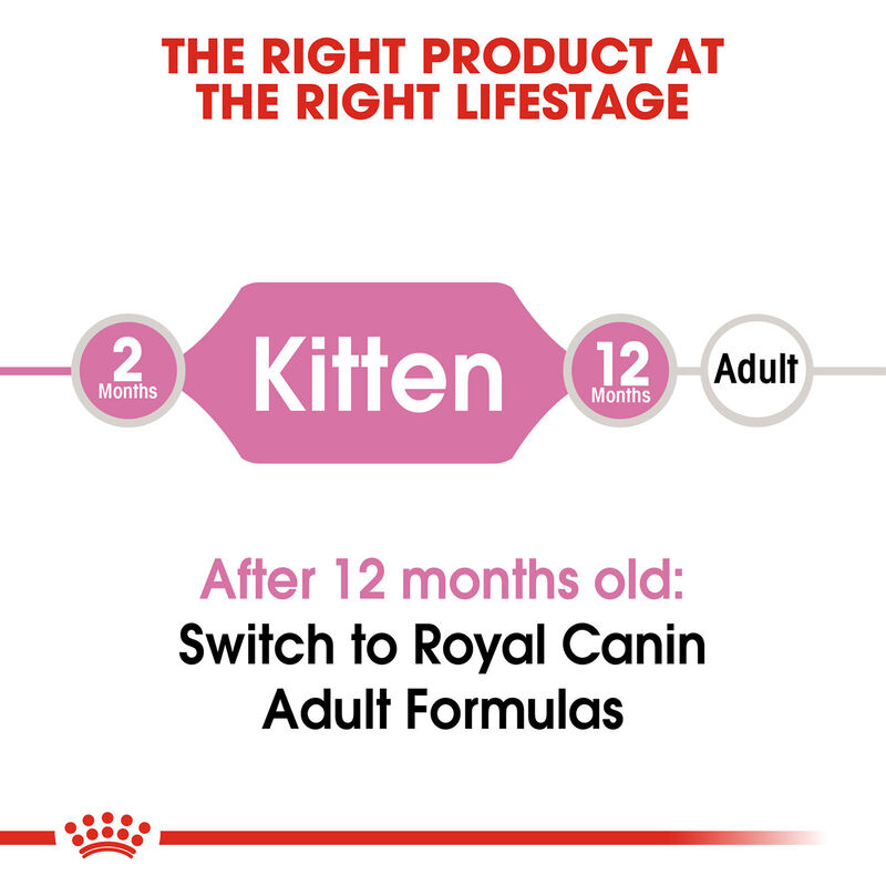 Royal Canin Kitten Digestive Health Formula Dry Cat Food