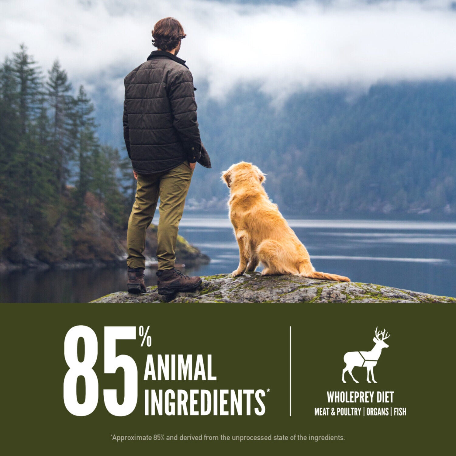 Orijen Tundra Recipe Grain-Free Dry Dog Food, 4.5-Lb Bag