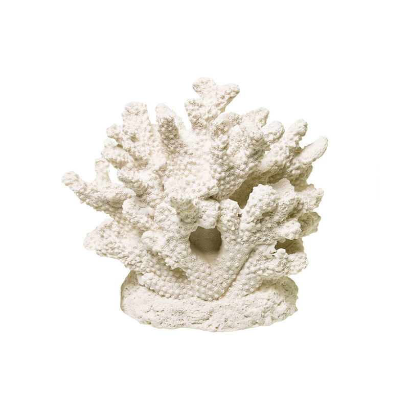 Exotic Environments Branch Coral Centerpiece image number 1