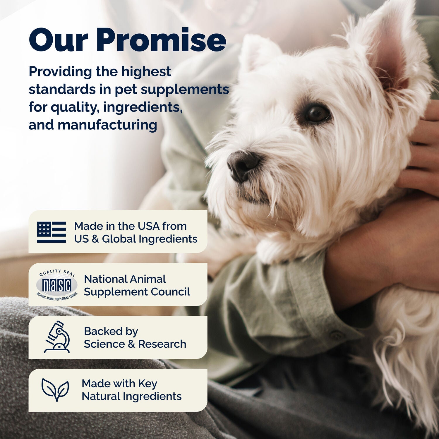 Vetnique Glandex Anal Gland Support Soft Chew Dog Supplements, Peanut Butter Flavor, 60-Count