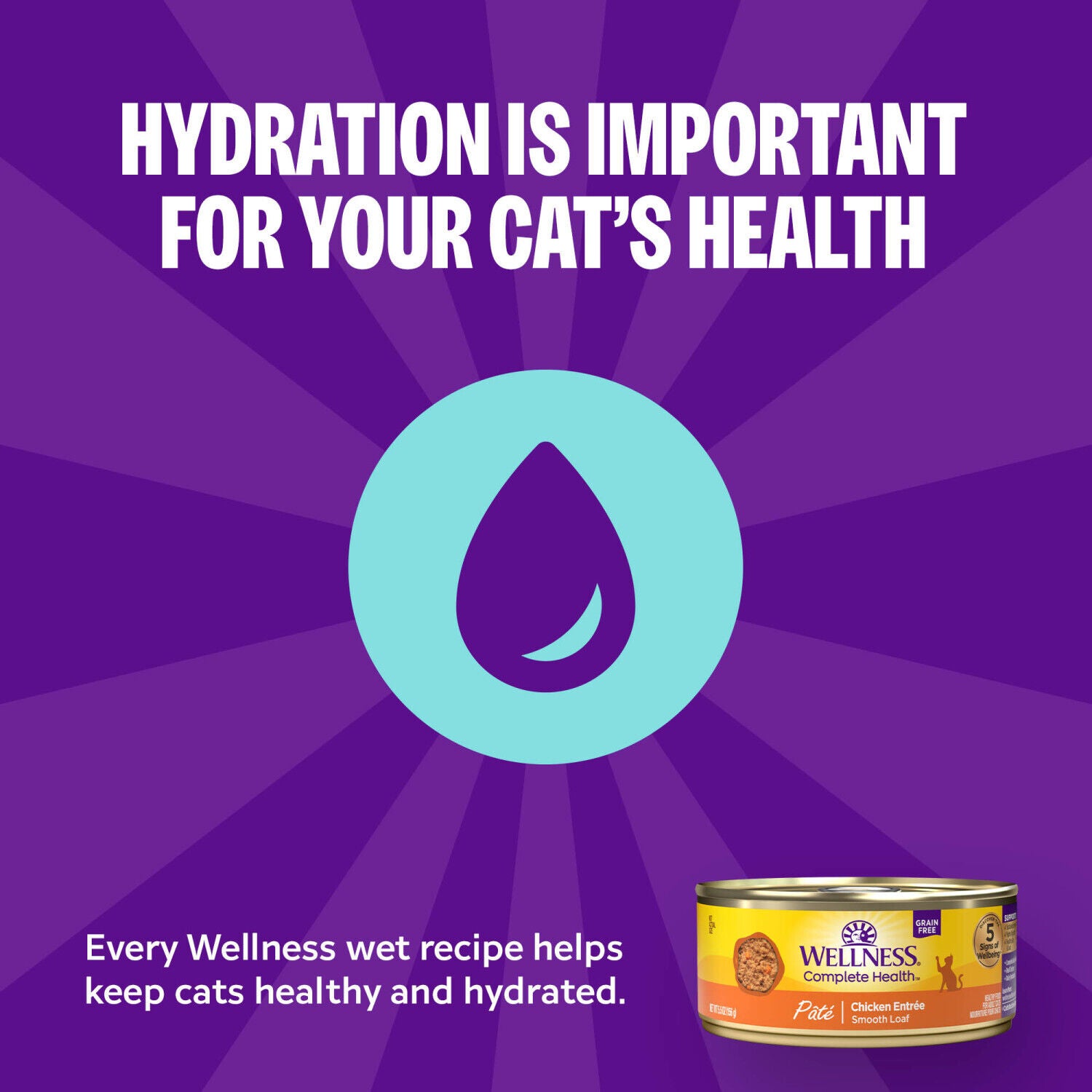 Wellness Complete Health Pate Adult Wet Cat Food, Natural, Protein-Rich, Grain Free, 5.5 Ounce, Chicken