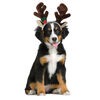 Holiday Antler Headband For Dogs thumbnail number 2