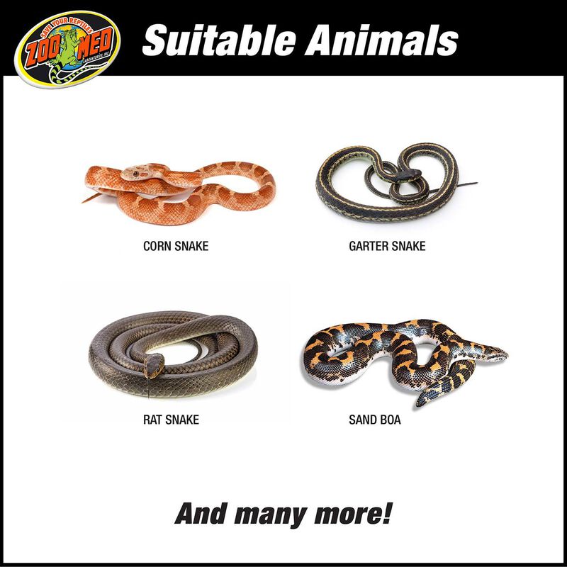 Reptihabitat 20 Gallon Snake Kit Reptile Enclosure image number 6